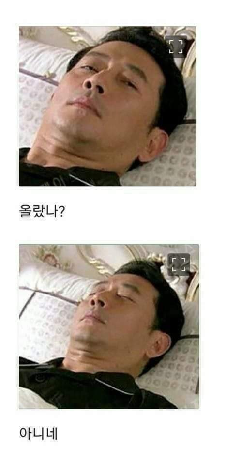  올랐나? 아니네