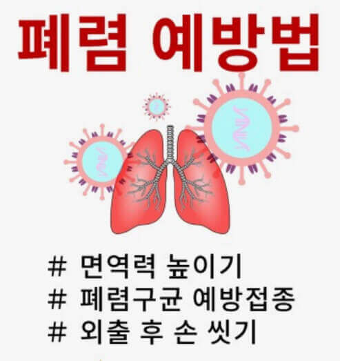  폐렴구균 15가 백신과 폐렴의 위험성, 효도 백신 필요성