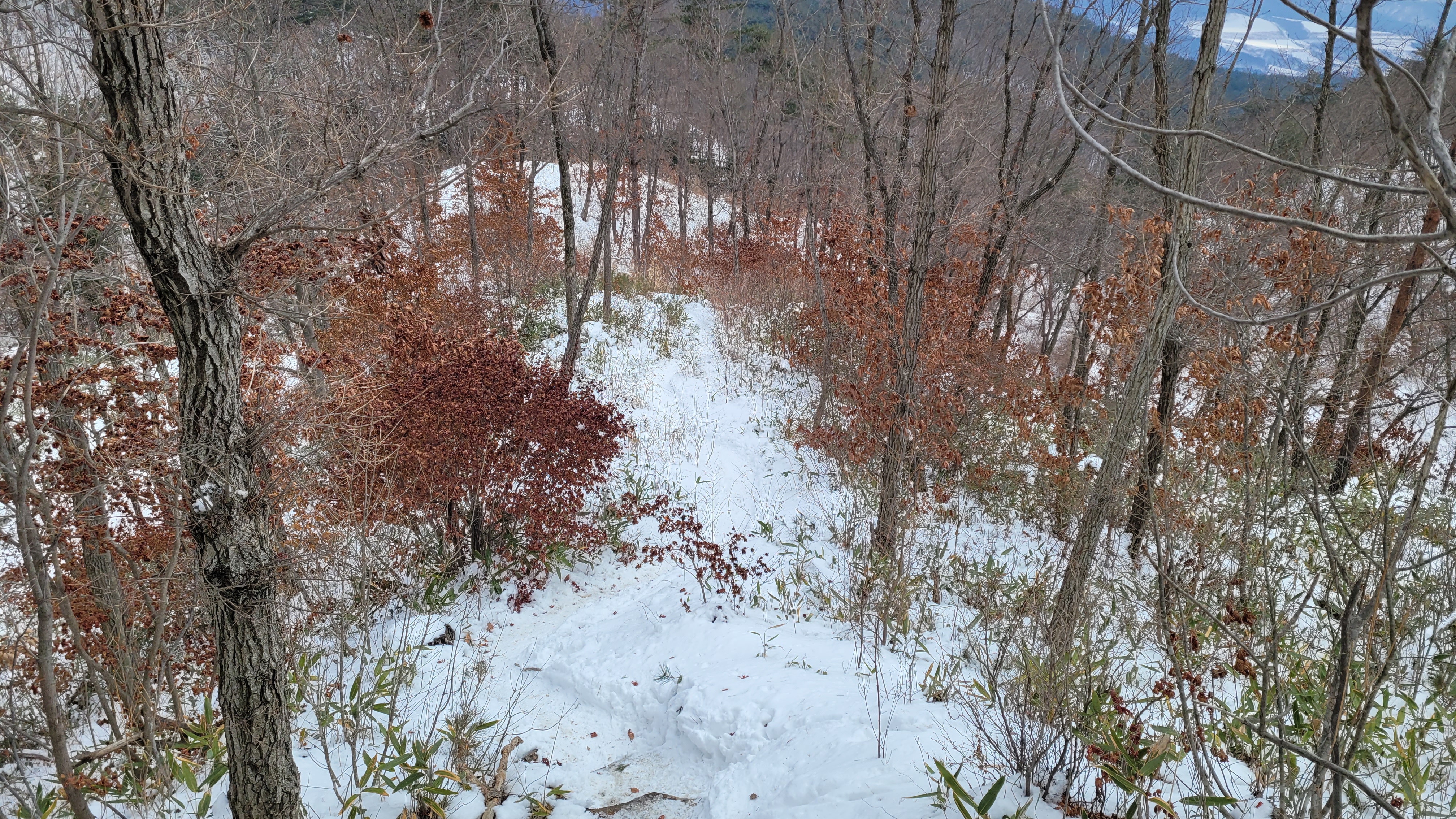 20221228_142013.jpg