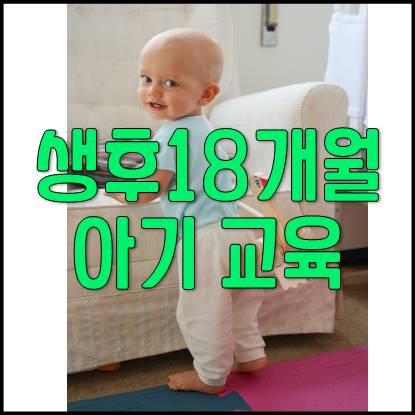 생후 18개월 아기 발달 및 육아교육(이식증, 낮잠, 호기심, 충동적)