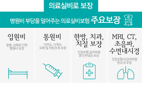 한방 진료와 실손보험 개요