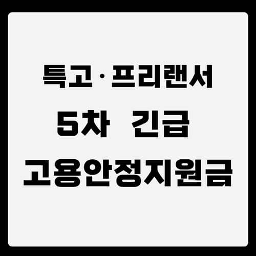  5차 긴급 고용안정지원금 신청