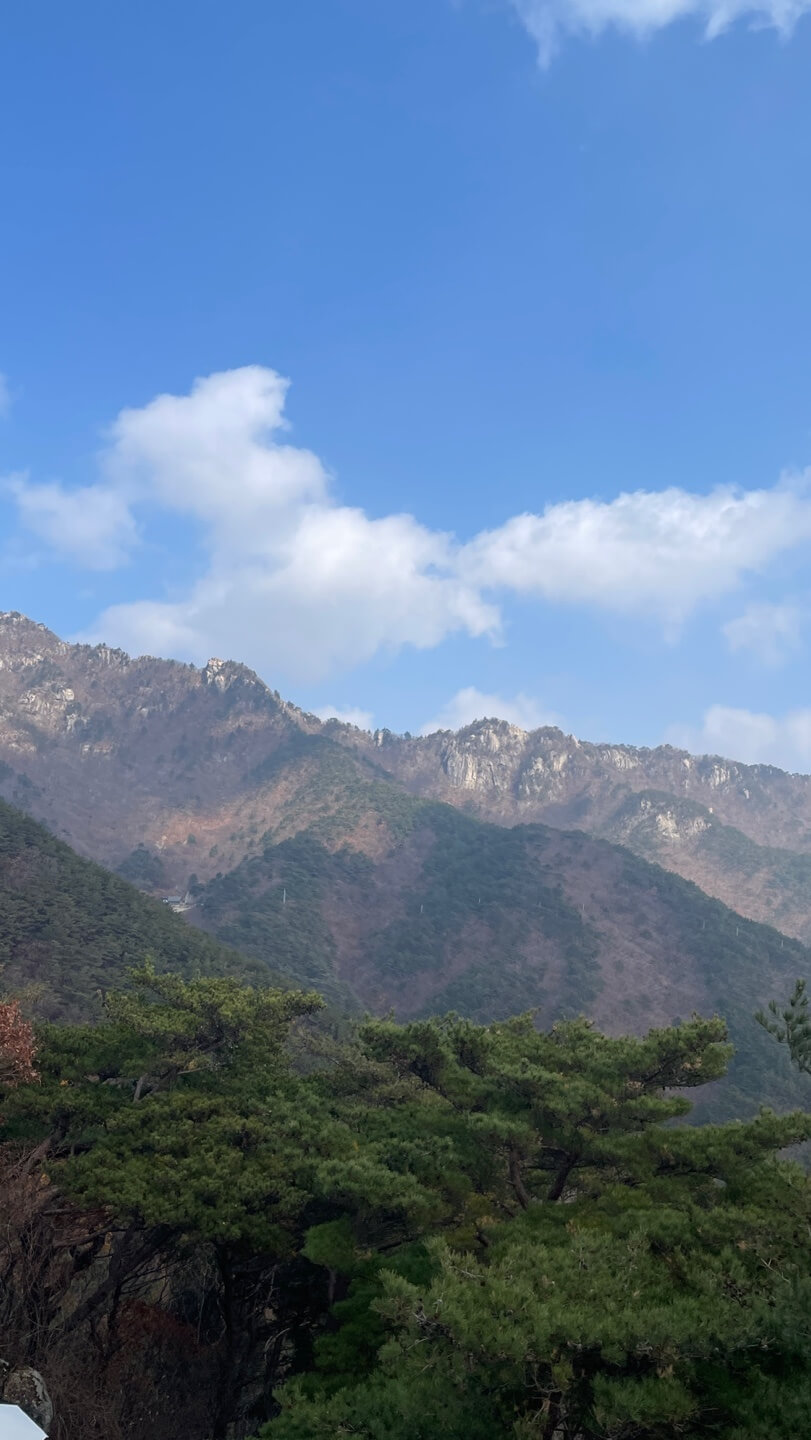 팔공산 뷰