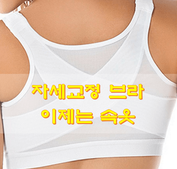  자세교정 브라 이제는 속옷
