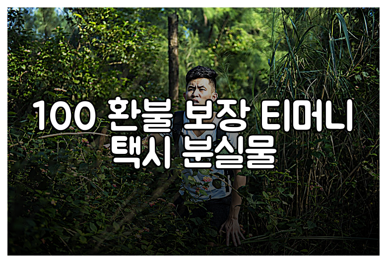 100 환불 보장 티머니 택시 분실물