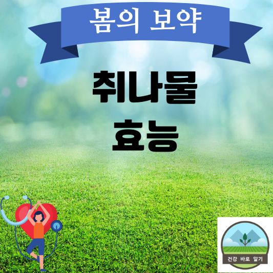  지방간에 좋은 봄나물 취나물