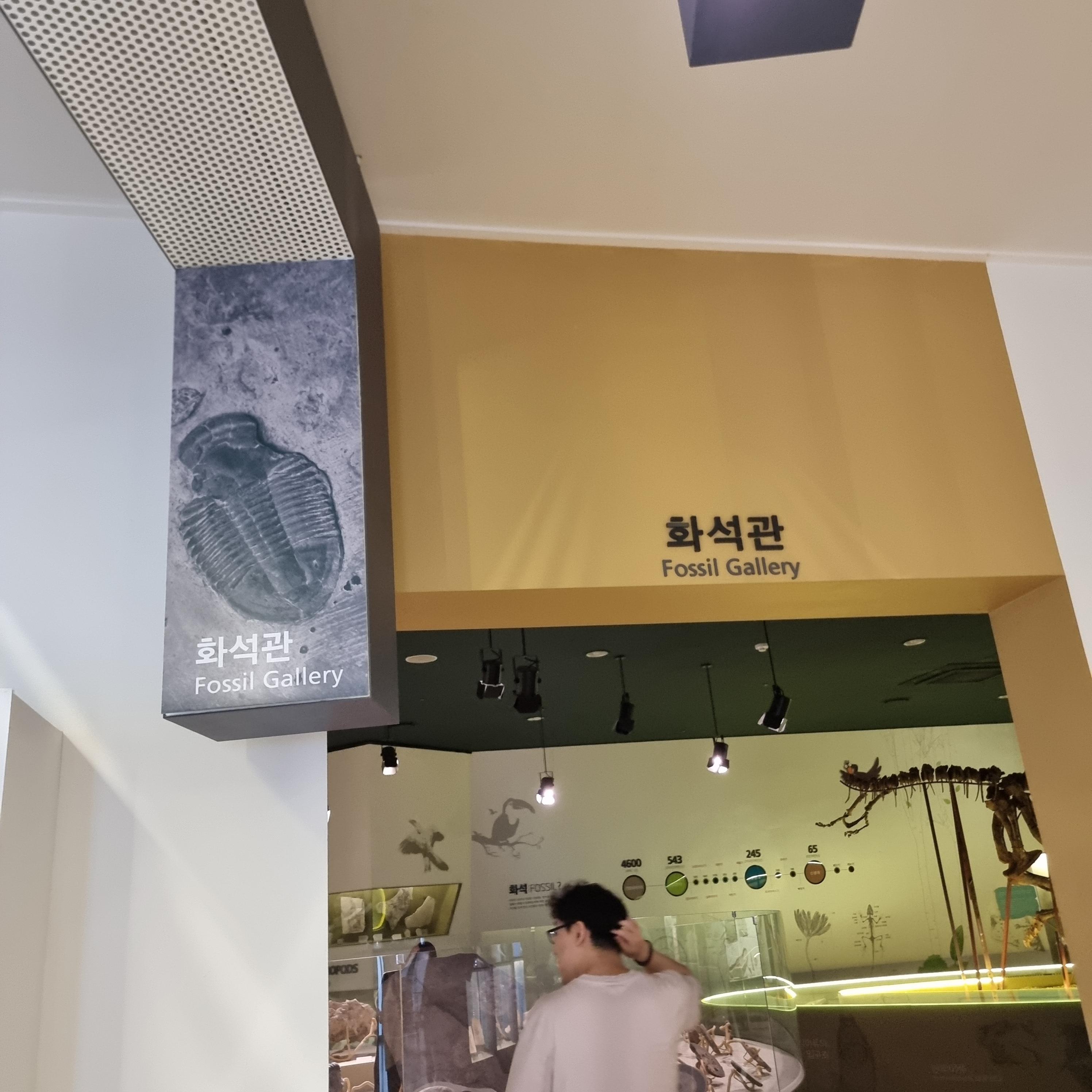 경기도 남양주 미호박물관, 아이랑 다녀오기 좋은 한강뷰 뮤지엄 카페 - undefined - | 남양주 미호박물관 위치 및 정보 경기도 남양주 미호박물관, 아이랑 다녀오기 좋은 한강뷰 뮤지엄 카페 - undefined - | 남양주 미호박물관 위치 및 정보