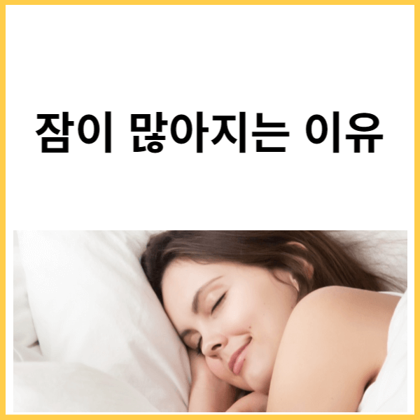 잠이 많아지는 이유