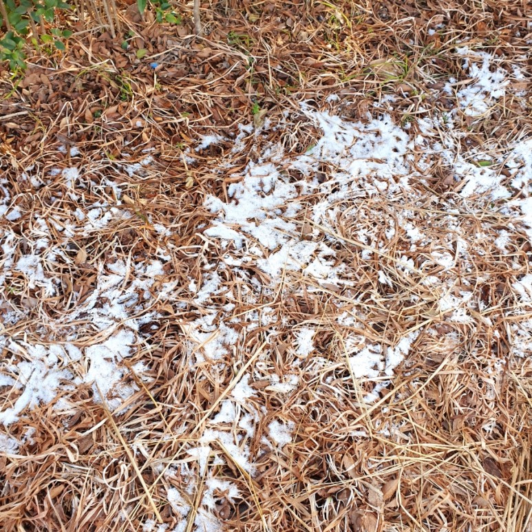 순천 여행코스 추천 순천 낙안읍성 민속마을 3