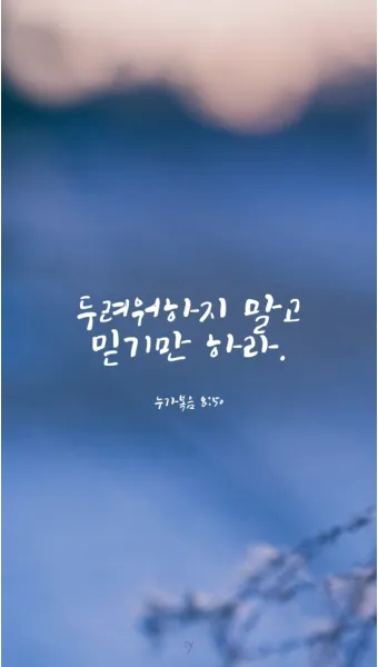 매일 성경 묵상 누가복음 8장 씨뿌리는 자_3