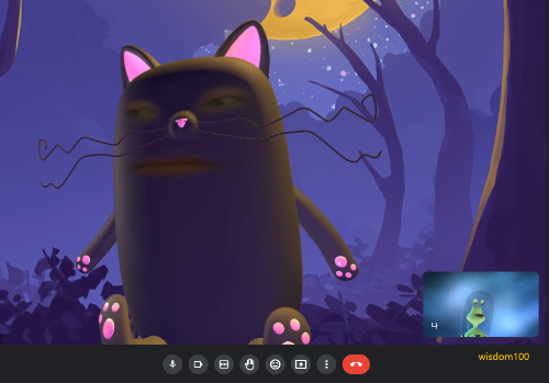 화상 회의방 진행 모습