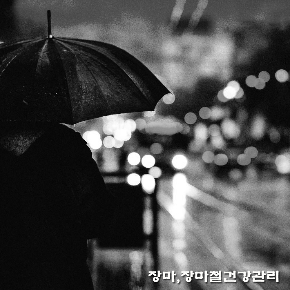  2022년 장마.장마철 건강 관리.장마 기간