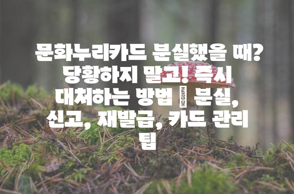 샘플 (42)