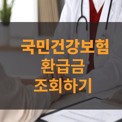 국민건강보험 환급금 조회하기