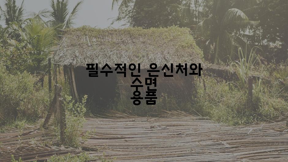 필수적인 은신처와 수면 용품