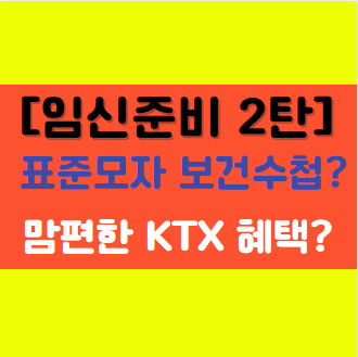  [임신 준비 2탄] 표준모자 보건수첩 및 맘편한 KTX 혜택 알아보기!