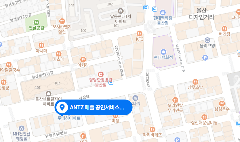 ANTZ 울산 사진