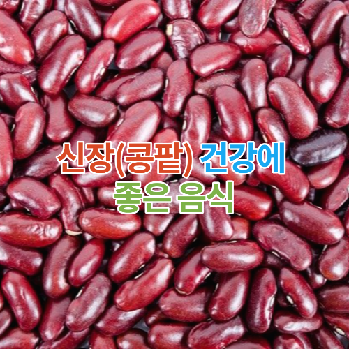  신장(콩팥) 건강에 좋은 음식