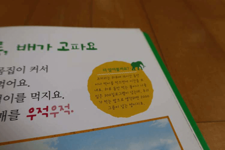 책이 쌓여있는 사진