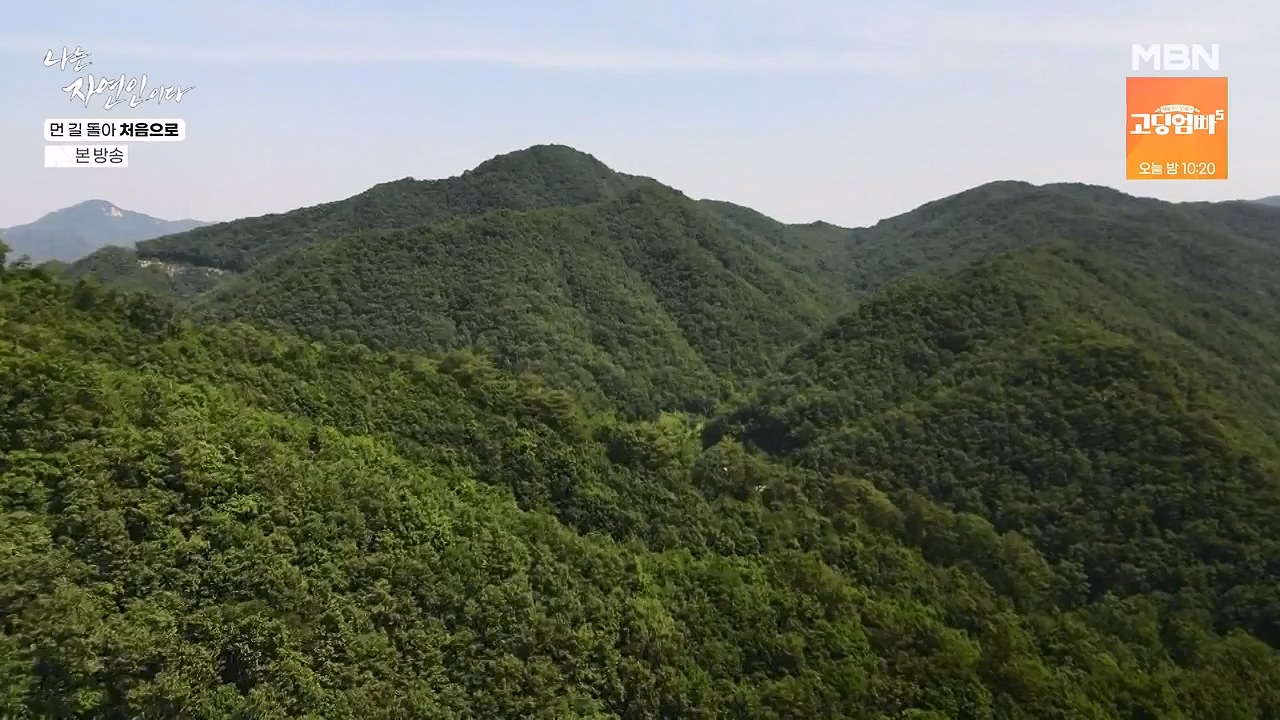 나는 자연인이다.E612.240704p-NEXT.mp4_20240704_195011.056.jpg