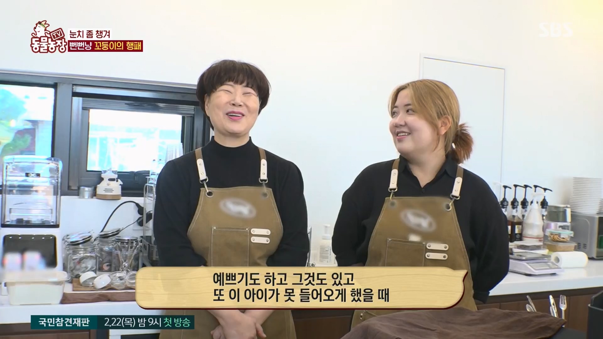 TV 동물농장.E1159.240218p.H264-F1RST.mp4_20240218_170007.991.jpg