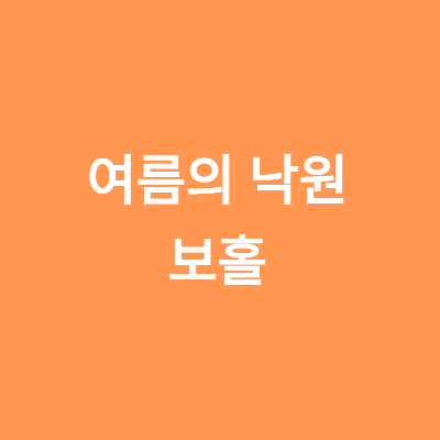 보홀