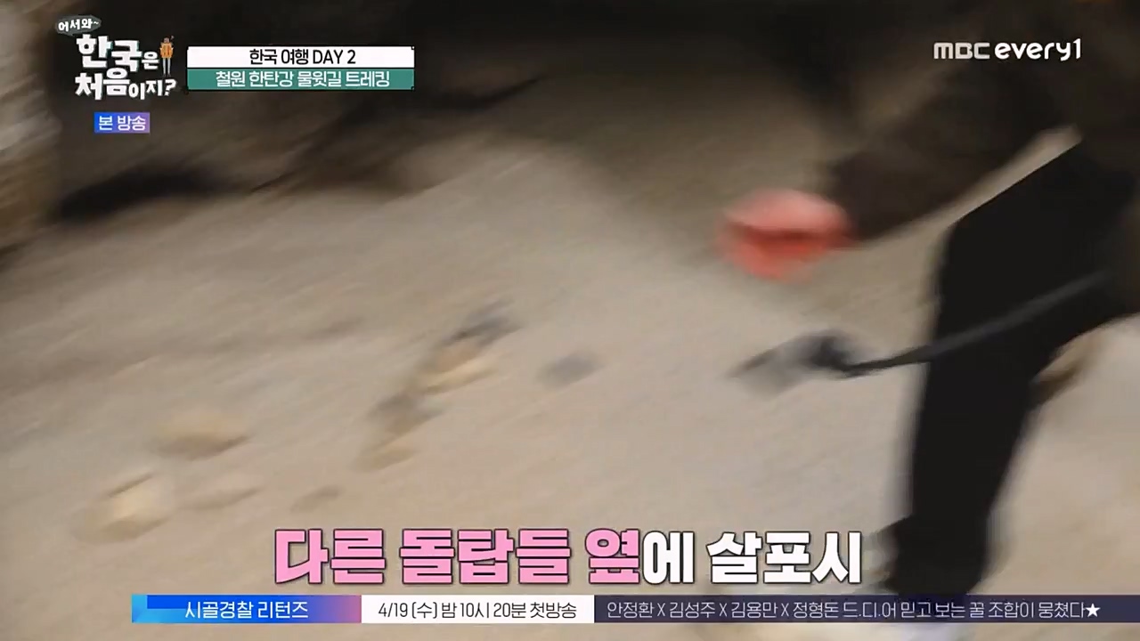 어서와 한국은 처음이지 시즌2.E257.230407p-NEXT.mp4_20230407_200625.669.jpg