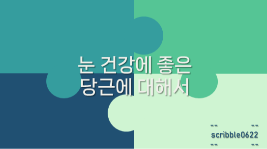  눈 건강에 좋은 당근에 대해서