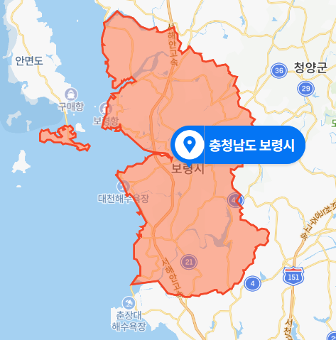  충남 보령시 오천북항 승용차 추락사고 (2020년 11월 17일)