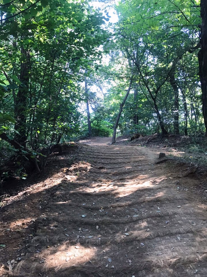 천왕산-산길
