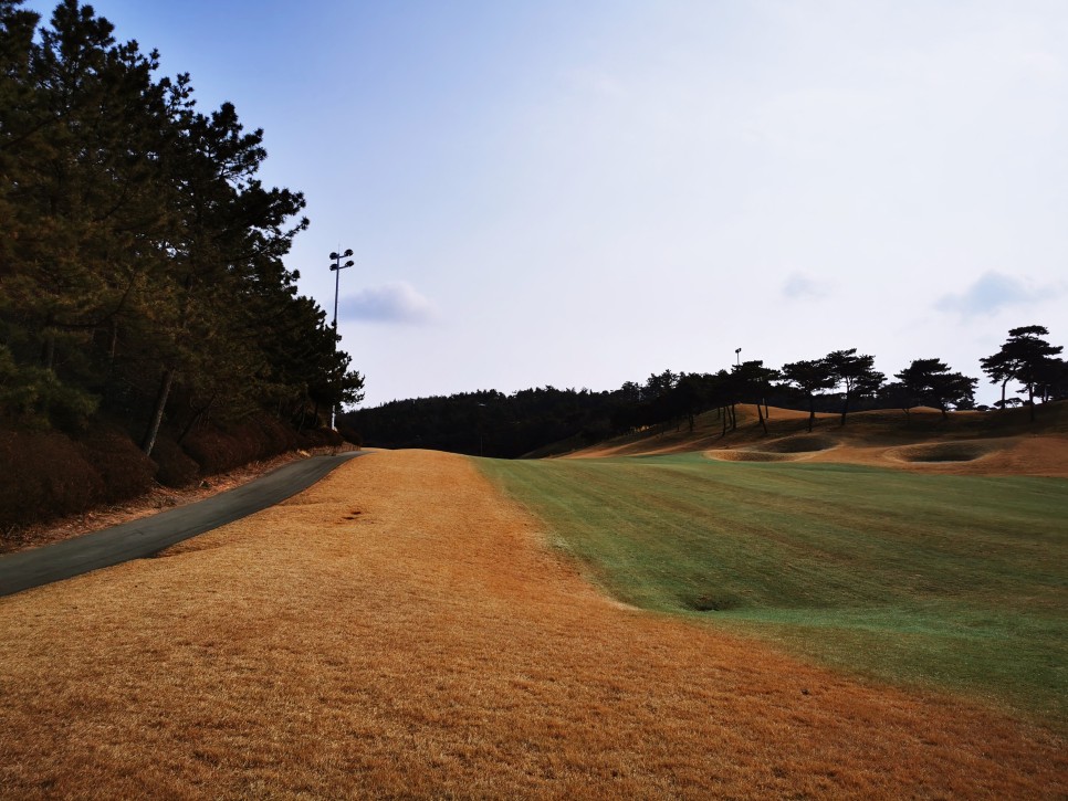 마제스티 1박2일 함평 엘리체CC 2