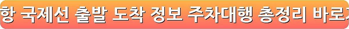인천공항 국제선 출발 도착 정보 주차대행 총정리_26