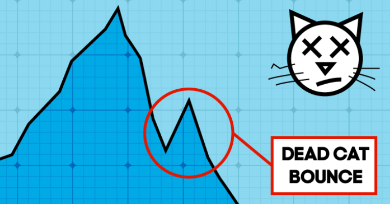 데드 캣 바운스