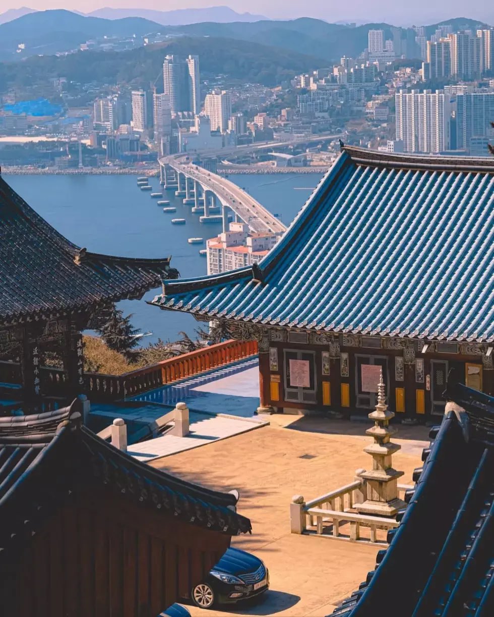  해외에서 화제가 된 한국풍경