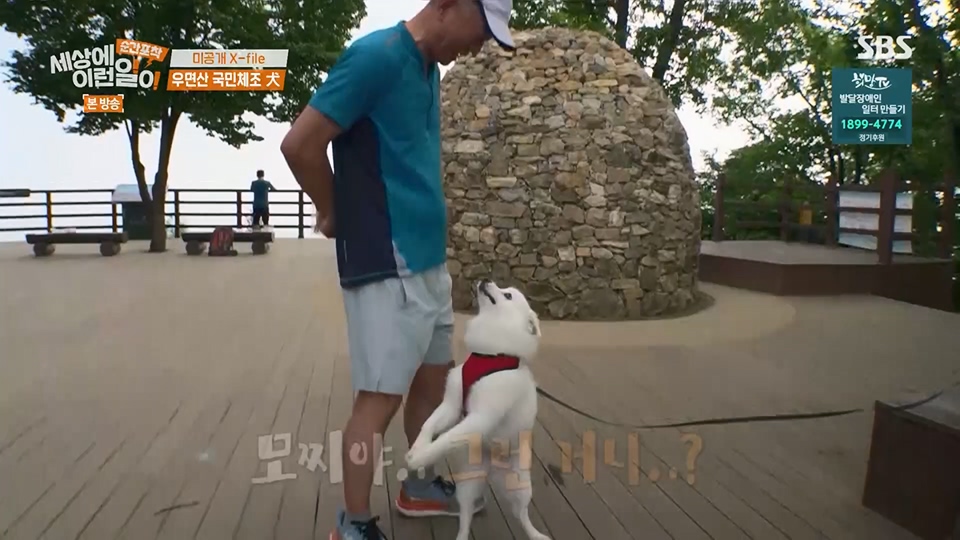 순간포착 세상에 이런일이.E1234.230624p.H264-F1RST.mp4_20230626_211202.221.jpg