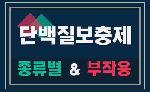  단백질 보충제의 종류