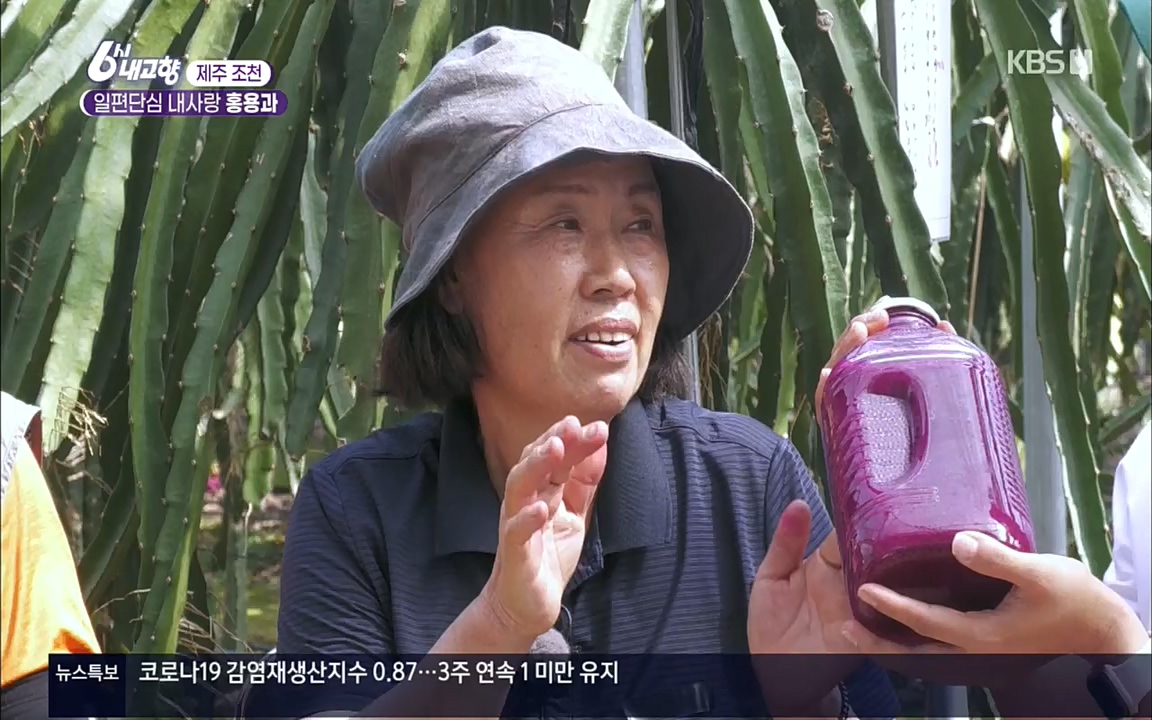 6시 내고향.E7617.220915p.H264-F1RST.mp4_20220916_213054.742.jpg