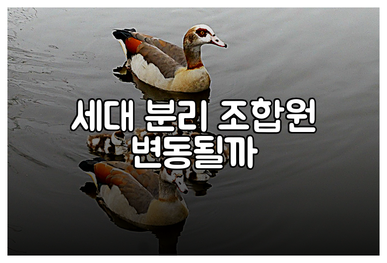 세대 분리 조합원 변동될까