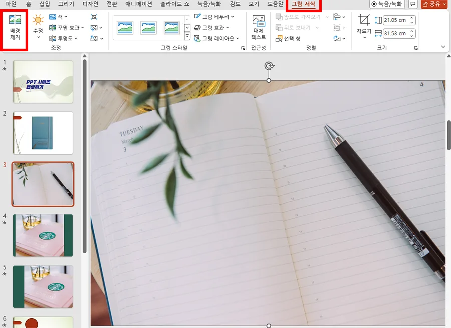 ppt에서 배경 제거 기능을 사용하는 모습