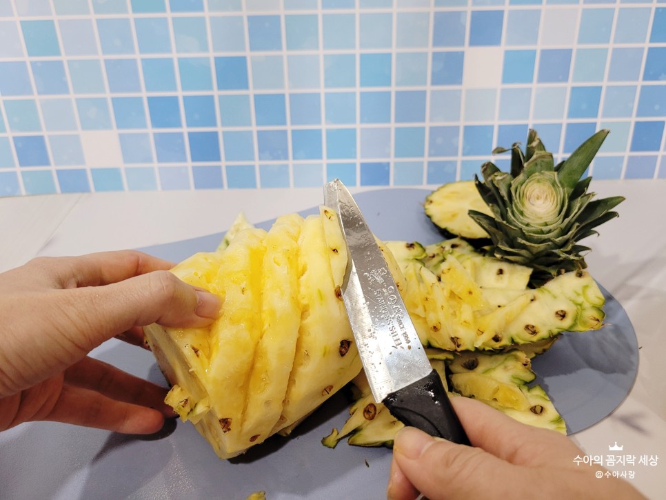 파인애플자르기 :: 칼 & 11