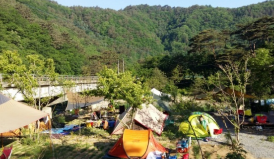 반디기타 이미지