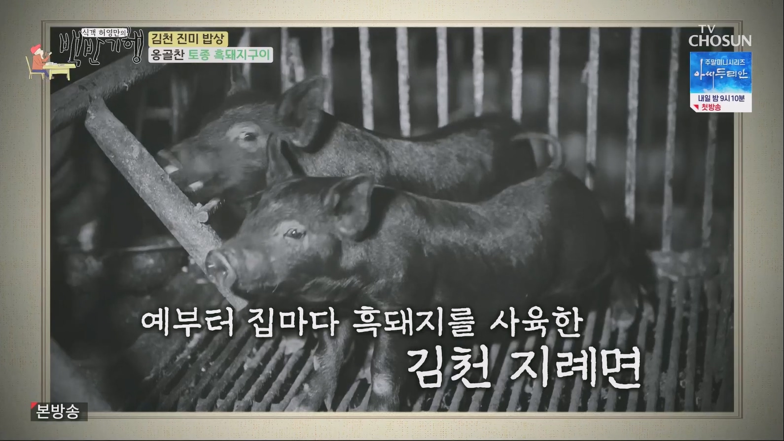 식객 허영만의 백반기행.E204.230623p.H264-F1RST.mp4_20230624_163538.221.jpg