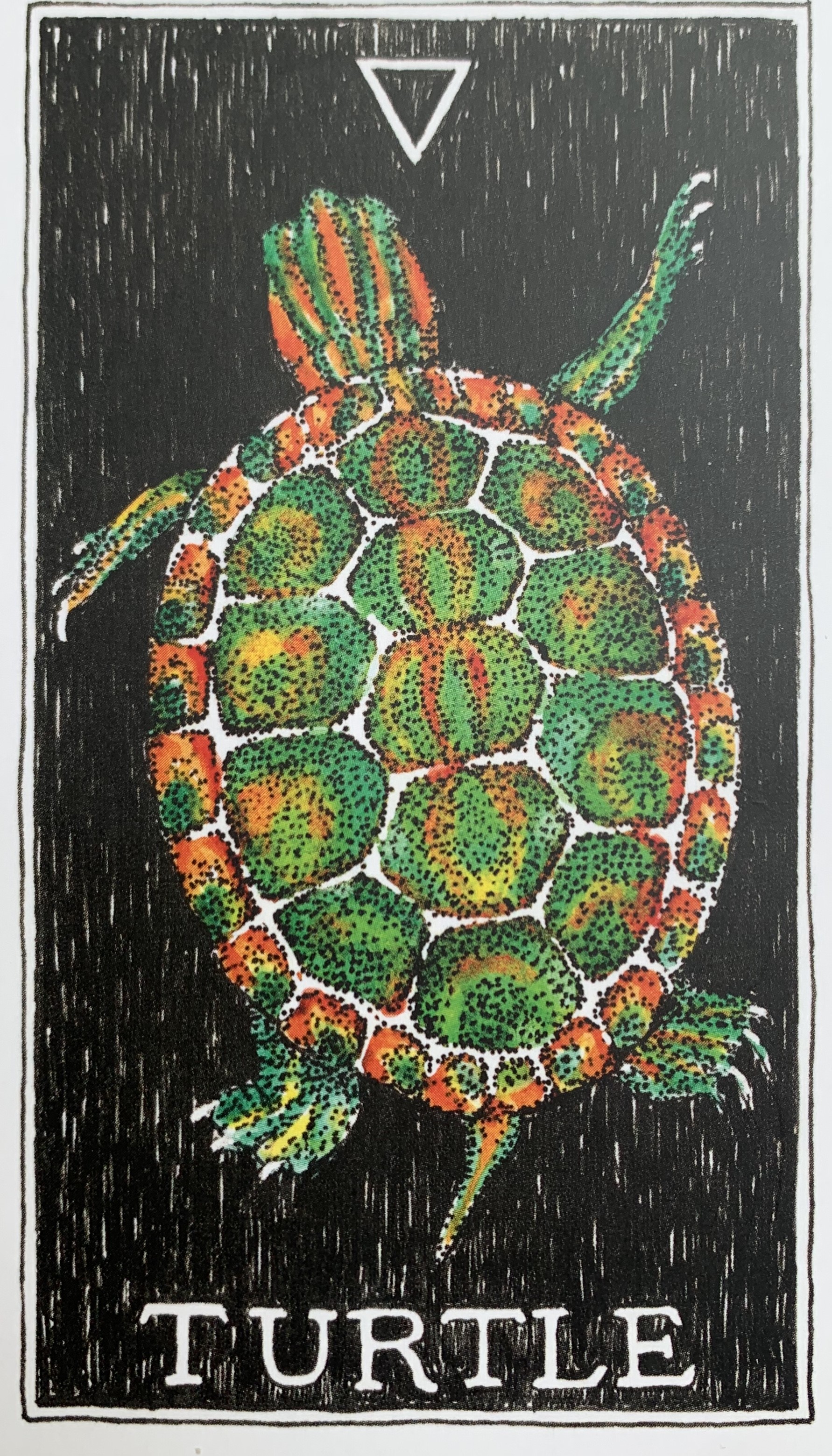  [오라클카드배우기/와일드언노운애니멀스피릿]The Wild Unknown Animal Spirit Turtle 거북이 해석 및 의미