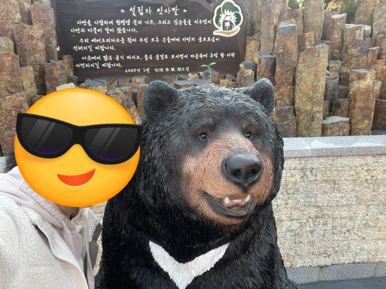 세종 가볼만한곳세종 가볼만한곳베어트리파크 14