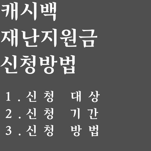 캐시백 재난지원금 신청방법 목차