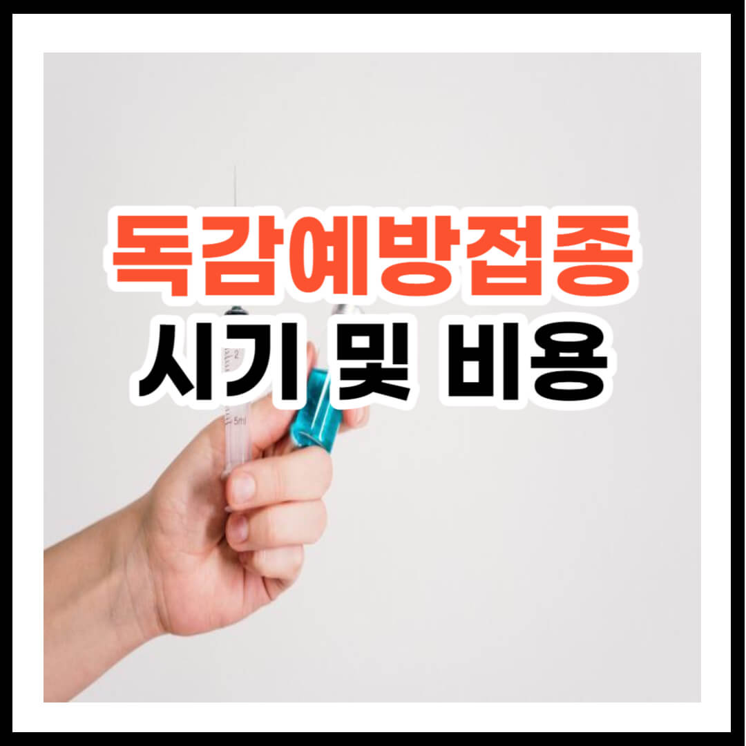 독감예방접종 시기 및 독감예방접종 비용