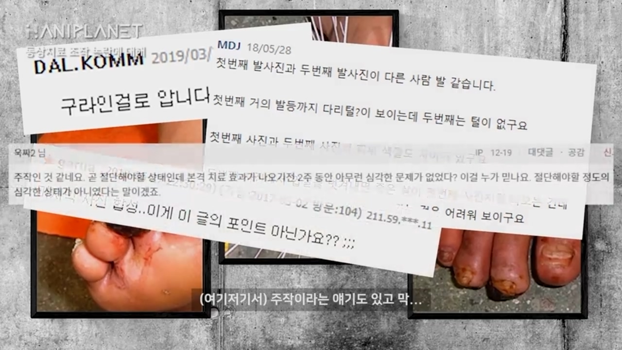  (혐) 한의학 동상 치료 (feat. 동상치료전문 한의원)