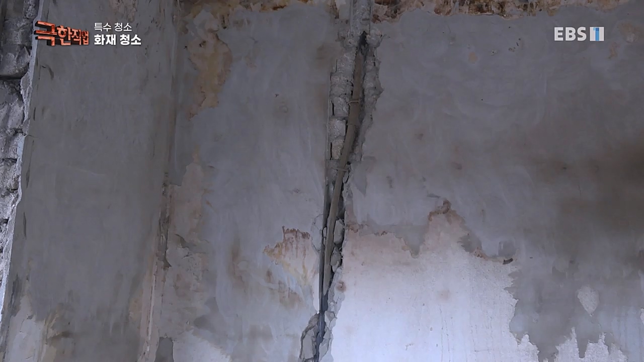 TV - 교육의 중심 EBS특수 청소.mp4_20230301_174719.942.jpg