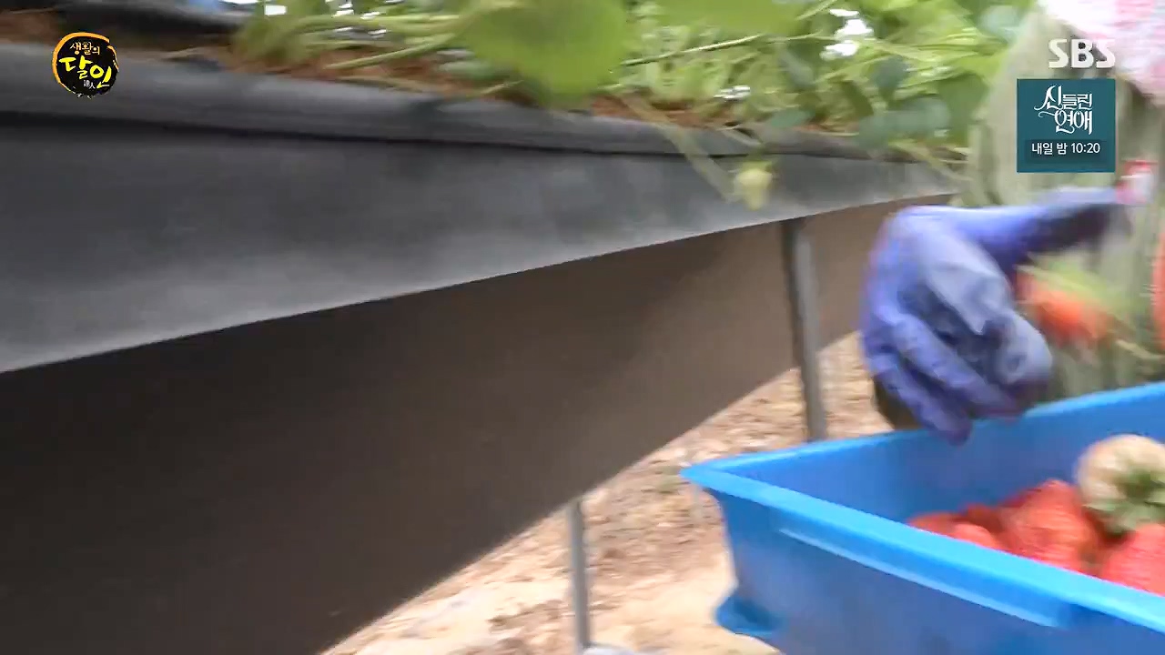 생활의 달인.E941.240625p-NEXT.mp4_20240625_211150.454.jpg