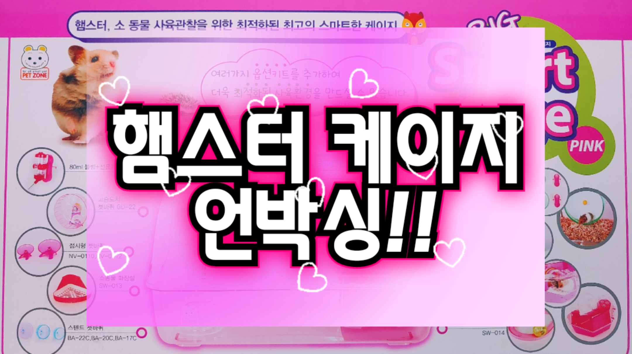  [햄스터 집]햄스터 분양 전 케이지 구매 언박싱! 골든 햄스터 분양받은 이야기